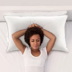 Cheer Collection Set Of 4 Standard Size Down Alternative Pillows (20" X 28")