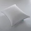 White Down Pillow, With MicronOne Dust Mite, Bedbug, And Allergen-Free Shell