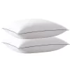 Weatherproof Vintage Microfiber 2pc Bed Pillow