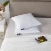 Serta 20"x20" Medium Firm 2pk Decorative Feather Pillow Insert